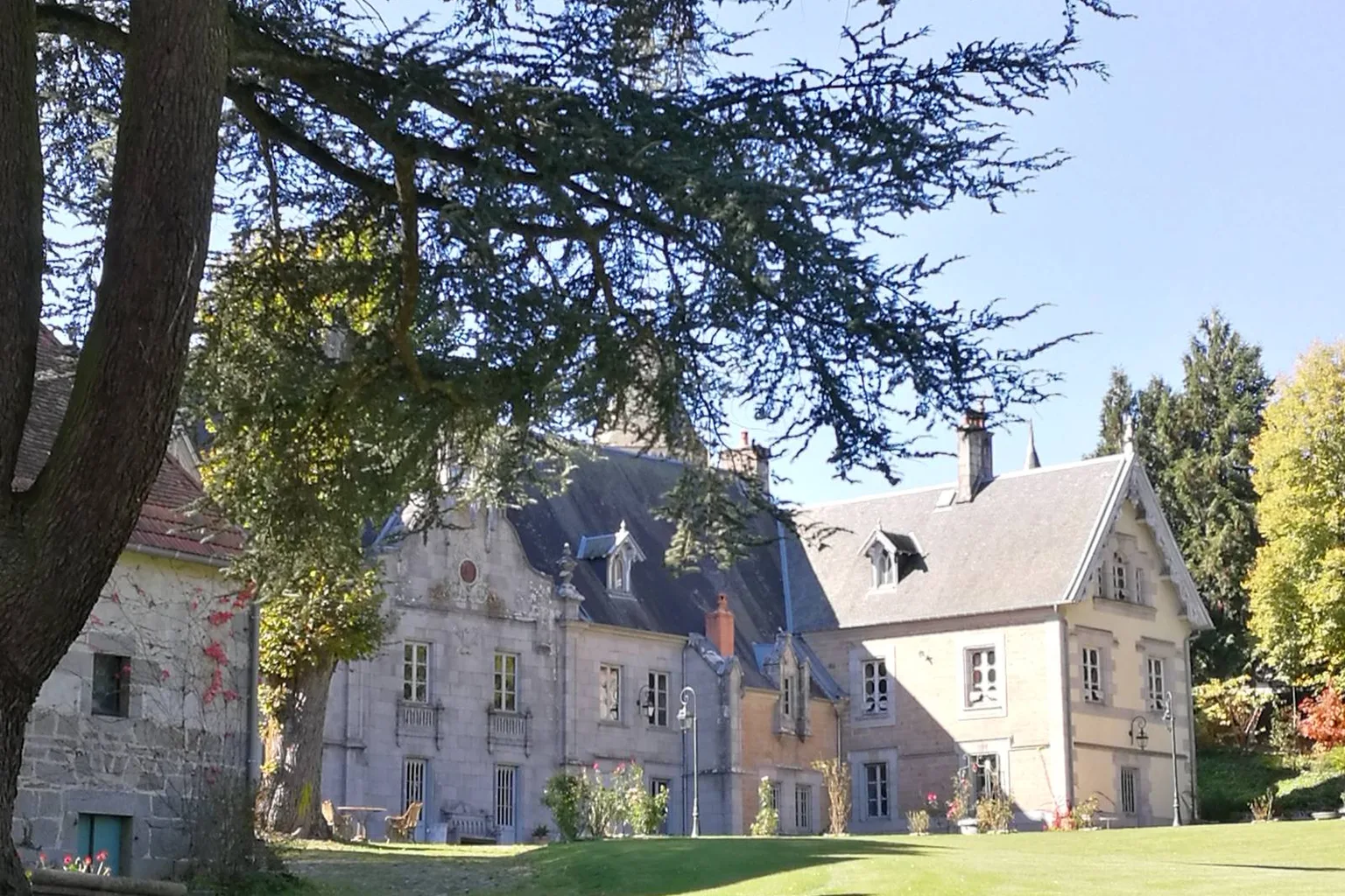 Le cèdre de l'Atlas remarquable du parc du château de Crocq, arbre centenaire classé