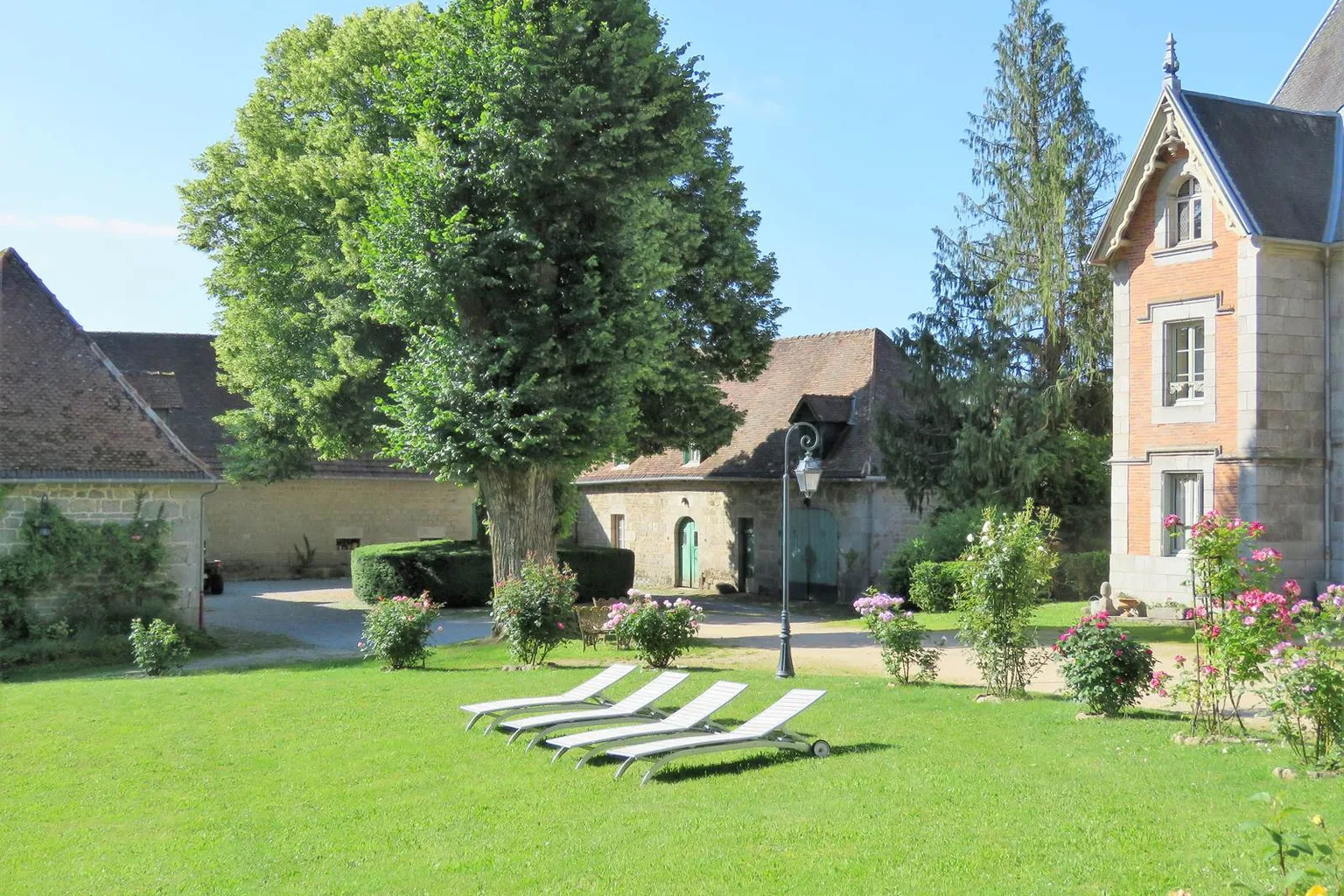 Sous-bois du parc du château de Crocq, essences variées et lumière dorée
