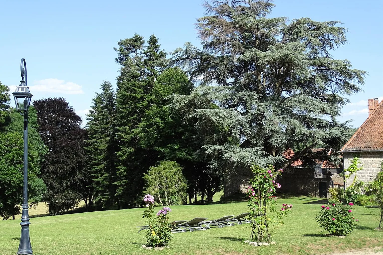 Arbres centenaires du parc du château de Crocq, témoignage botanique creusois