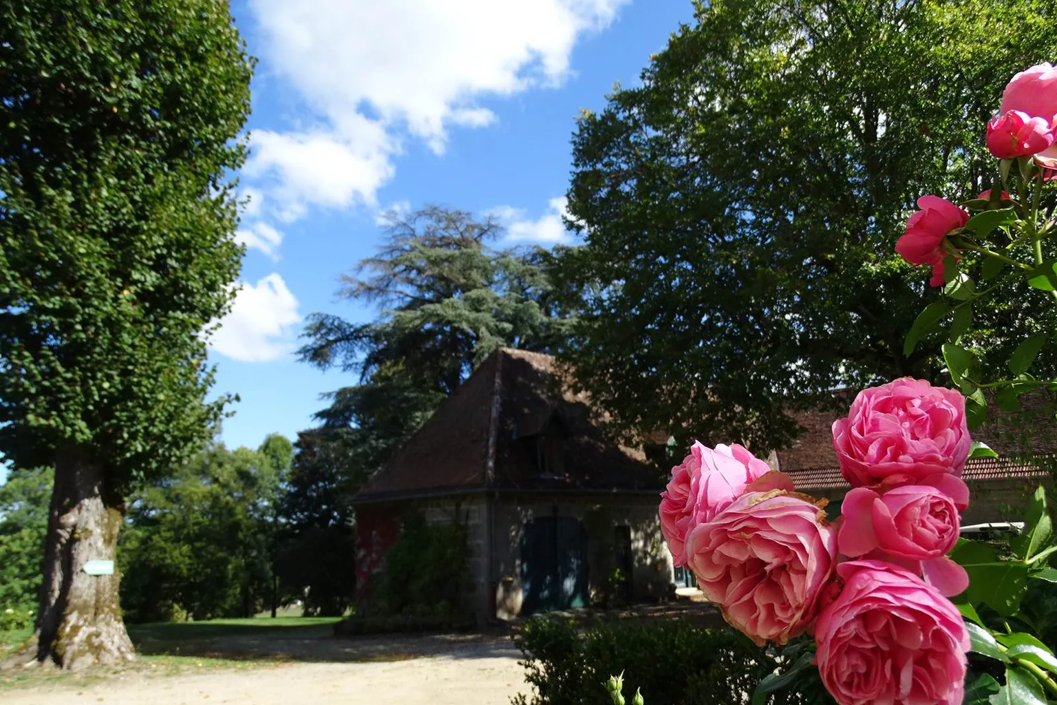 Le parc paysager du château de Crocq, 2 hectares d'arbres centenaires à 800 m d'altitude